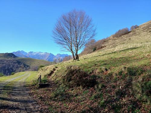 15-retour-sur-la-piste-apres-la-descente-du-sommet