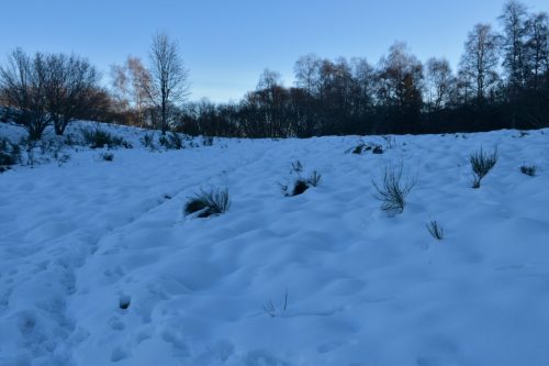 DSC0001 (1) (1) (1) (1) (1) (1) (1) (1) (1) (1)