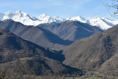 DSC0001 (1) (1) (1) (1) (1) (1) (1) (1) (1) (1) (1)