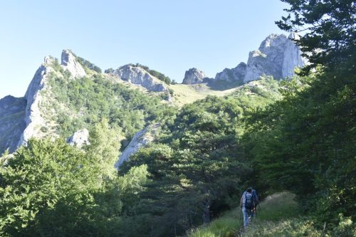 DSC0002 (1) (1) (1) (1)