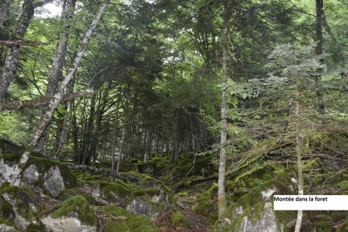 DSC0002 (1) (1) (1) (1) (1)