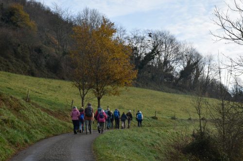 DSC0002 (1) (1) (1) (1) (1) (1)