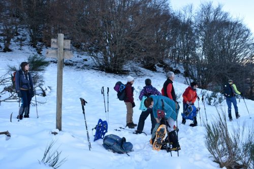 DSC0002 (1) (1) (1) (1) (1) (1) (1)