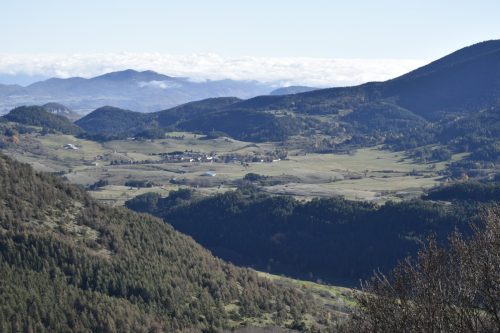 DSC0003 (1) (1) (1) (1) (1) (1) (1) (1) (1)