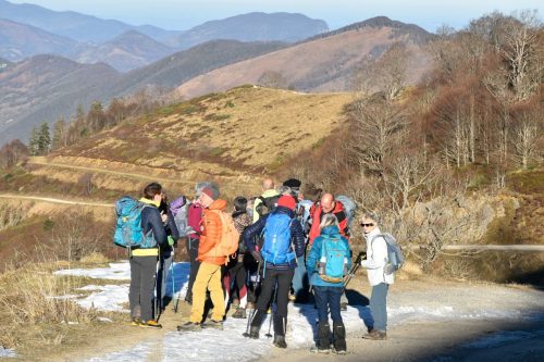 DSC0003 (1) (1) (1) (1) (1) (1) (1) (1) (1) (1)