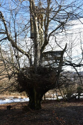 DSC0003 (1) (1) (1) (1) (1) (1) (1) (1) (1) (1) (1) (1)