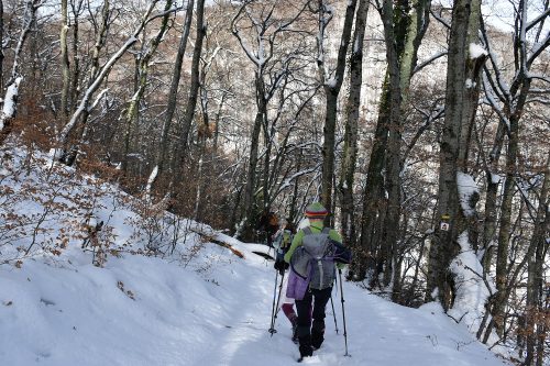 DSC0004 (1) (1) (1) (1) (1) (1) (1) (1) (1) (1) (1) (1) (1) (1) (1) (1) (1)