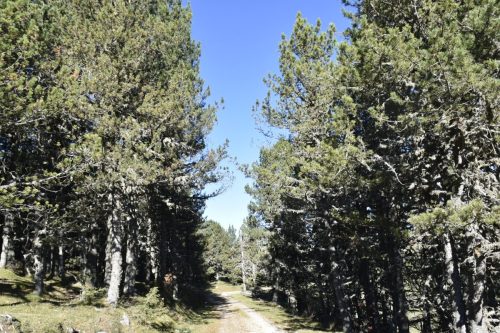 DSC0005 (1) (1) (1) (1) (1) (1) (1) (1) (1) (1) (1) (1) (1) (1) (1) (1)