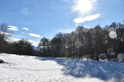 DSC0005 (1) (1) (1) (1) (1) (1) (1) (1) (1) (1) (1) (1) (1) (1) (1) (1) (1) (1)