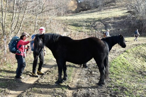 DSC0005 (1) (1) (1) (1) (1) (1) (1) (1) (1) (1) (1) (1) (1) (1) (1) (1) (1) (1) (1)