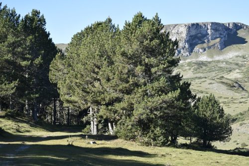 DSC0006 (1) (1) (1) (1) (1) (1) (1) (1) (1) (1)