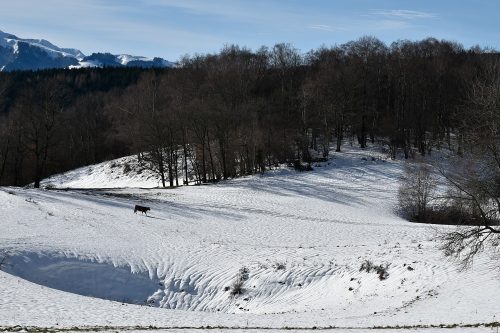 DSC0007 (1) (1) (1) (1) (1) (1) (1) (1) (1) (1) (1) (1) (1)