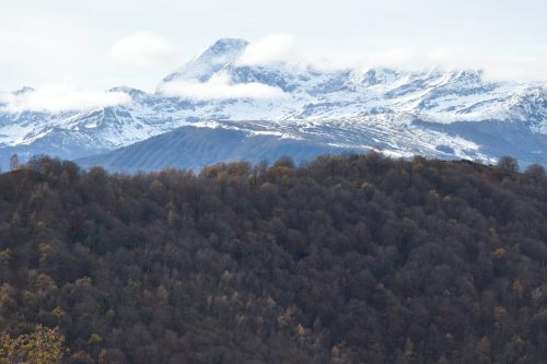 DSC0008 (1) (1) (1) (1) (1) (1) (1) (1) (1) (1) (1) (1) (1)