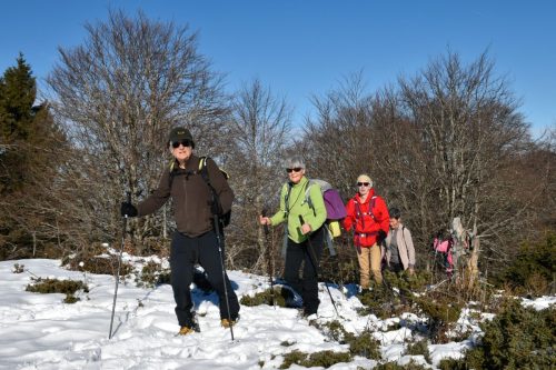 DSC0008 (1) (1) (1) (1) (1) (1) (1) (1) (1) (1) (1) (1) (1) (1)