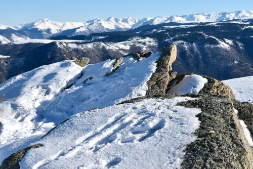 DSC0009 (1) (1) (1) (1) (1) (1) (1) (1) (1) (1) (1) (1)