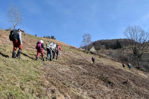 DSC0009 (1) (1) (1) (1) (1) (1) (1) (1) (1) (1) (1) (1) (1)