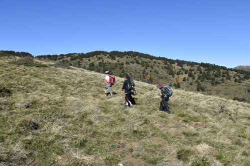 DSC0010 (1) (1) (1) (1) (1) (1) (1) (1) (1) (1)