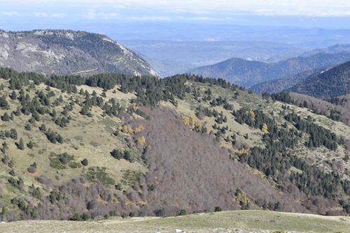 DSC0013 (1) (1) (1) (1) (1) (1) (1) (1) (1) (1) (1)