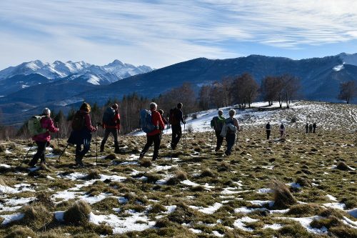 DSC0013 (1) (1) (1) (1) (1) (1) (1) (1) (1) (1) (1) (1) (1) (1)