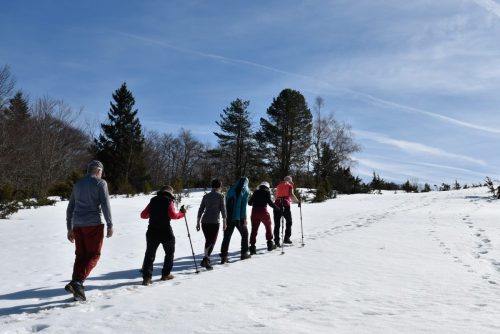 DSC0014 (1) (1) (1) (1) (1) (1) (1) (1) (1) (1) (1) (1) (1)