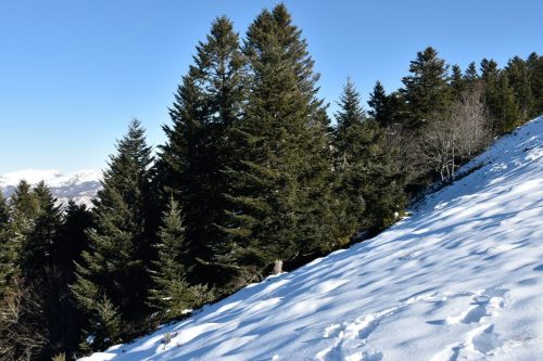 DSC0015 (1) (1) (1) (1) (1) (1) (1) (1) (1) (1)