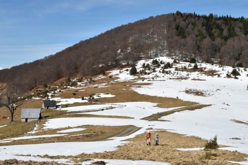 DSC0015 (1) (1) (1) (1) (1) (1) (1) (1) (1) (1) (1)