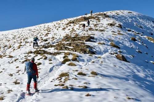 DSC0016 (1) (1) (1) (1) (1) (1) (1) (1) (1) (1)