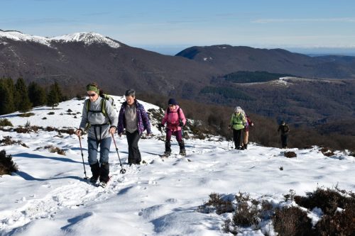 DSC0016 (1) (1) (1) (1) (1) (1) (1) (1) (1) (1) (1)