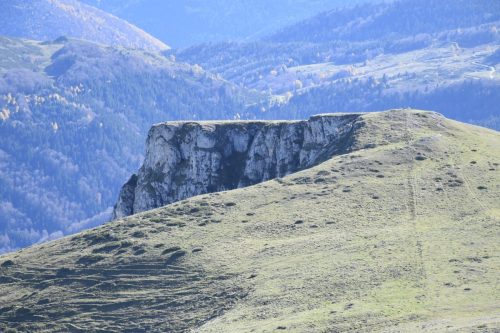 DSC0017 (1) (1) (1) (1) (1) (1) (1) (1) (1) (1) (1) (1) (1) (1) (1) (1) (1)