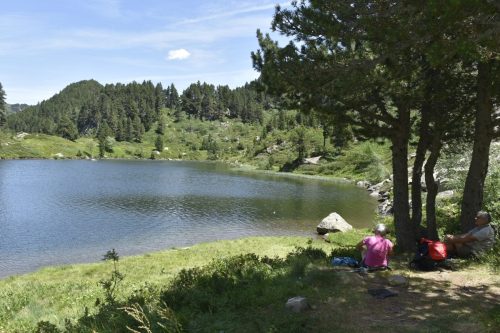 étangs de Rabassoles - 15 juil.