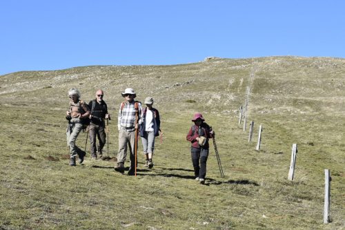 DSC0020 (1) (1) (1) (1) (1) (1) (1) (1) (1) (1) (1) (1) (1)