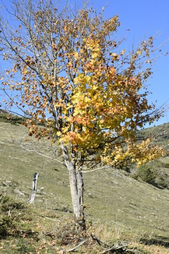 DSC0022 (1) (1) (1) (1) (1) (1) (1) (1) (1)