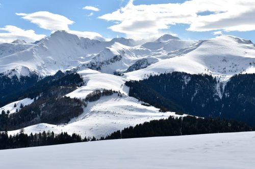 DSC0022 (1) (1) (1) (1) (1) (1) (1) (1) (1) (1) (1) (1)