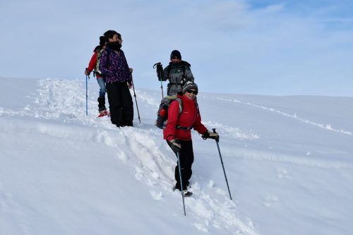 DSC0024 (1) (1) (1) (1) (1) (1) (1) (1) (1) (1)