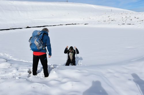 DSC0026 (1) (1) (1) (1) (1) (1) (1) (1)