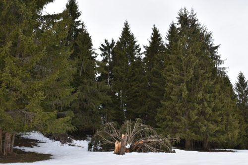 DSC0027 (1) (1) (1) (1) (1) (1) (1)