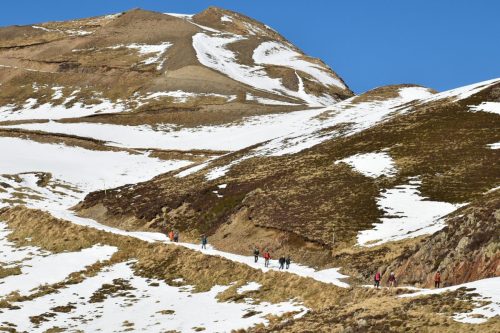 DSC0034 (1) (1) (1) (1)