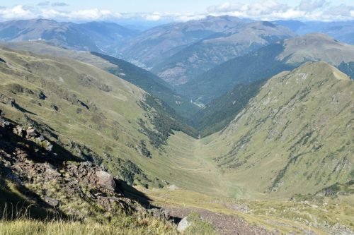 DSC0035 (1) (1) (1)