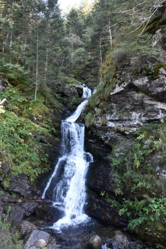 DSC0041 (1) (1) (1)