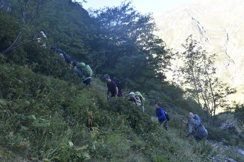 DSC0043 (1) (1)