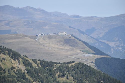 DSC0048 (1) (1)