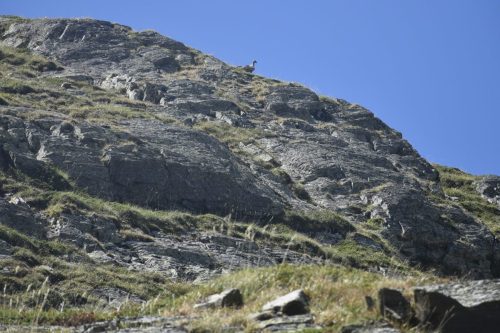 DSC0050