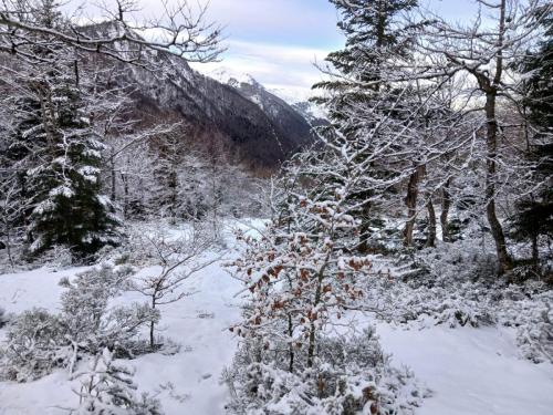 mont Ceint - 26 jan.