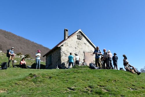 IMG 0022