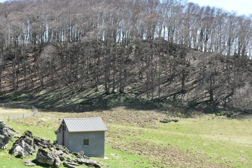 IMG 0025