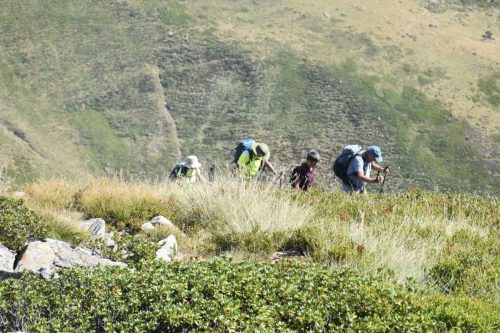 IMG 0991