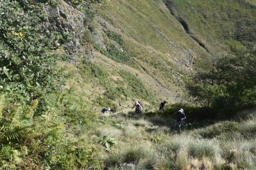 IMG 0992