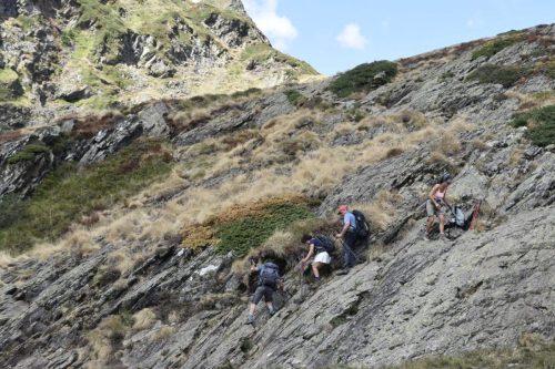 IMG 1110 (1)