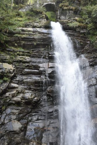 IMG 1116 (1)