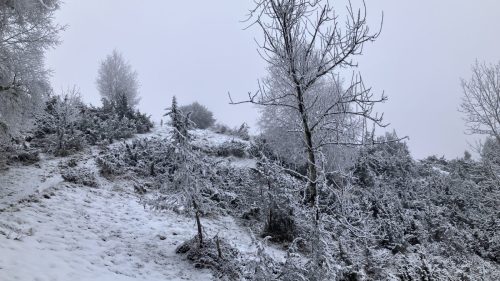 pic de Nédé - 4 jan.